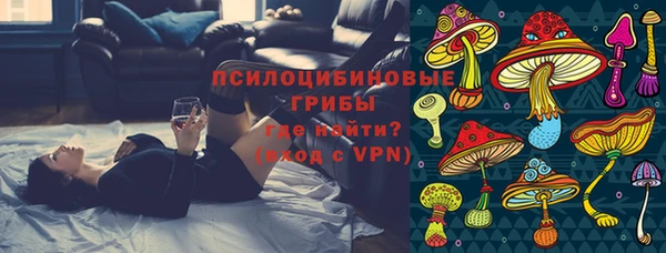 apvp Абаза