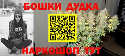 индика Тара