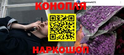 не бодяженный Тула