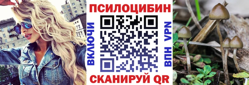 Псилоцибиновые грибы Psilocybine cubensis  мега ссылка  Чебаркуль 